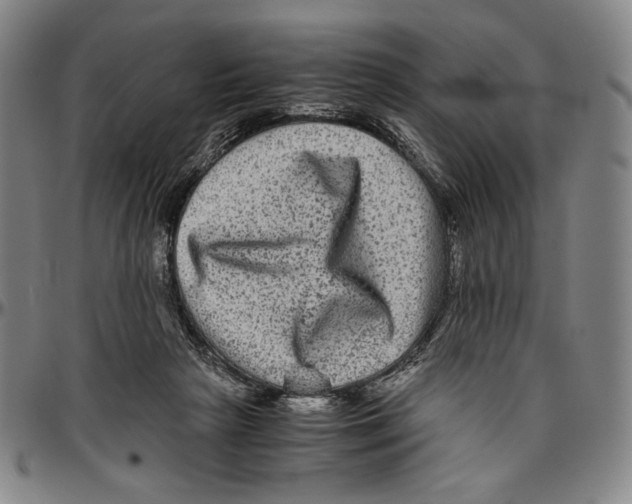 X0000096480265200802211221