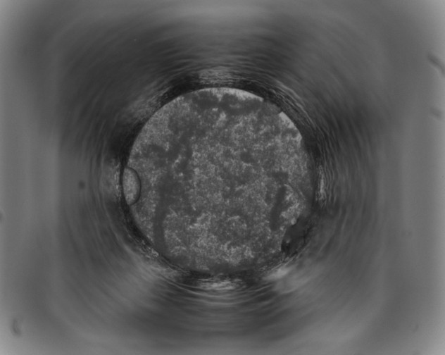 X0000096480267200802211221