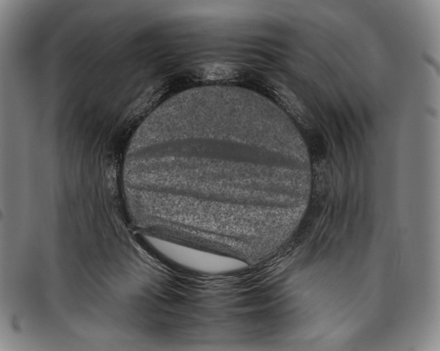 X0000096480269200802211221