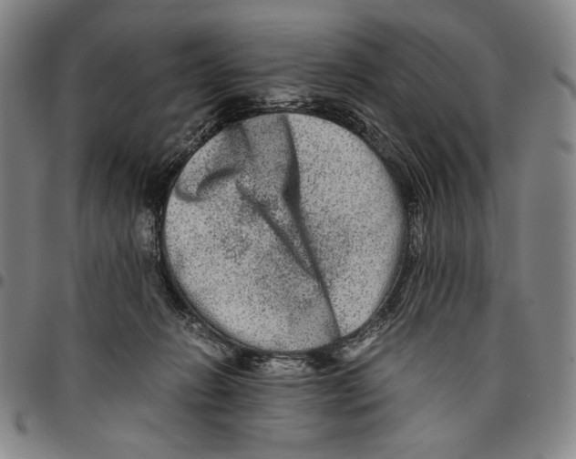 X0000096480270200802211221
