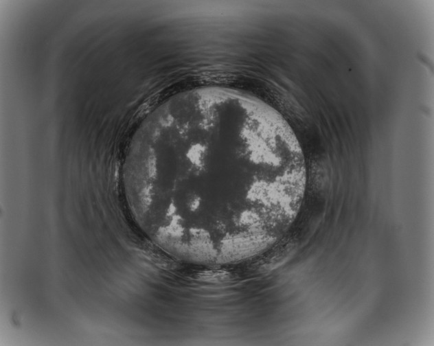 X0000096480271200802211221