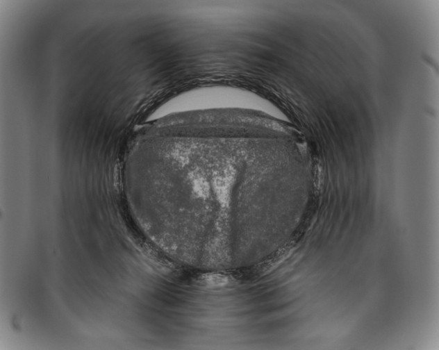 X0000096480272200802211221