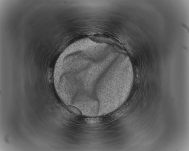 X0000096480273200802211221