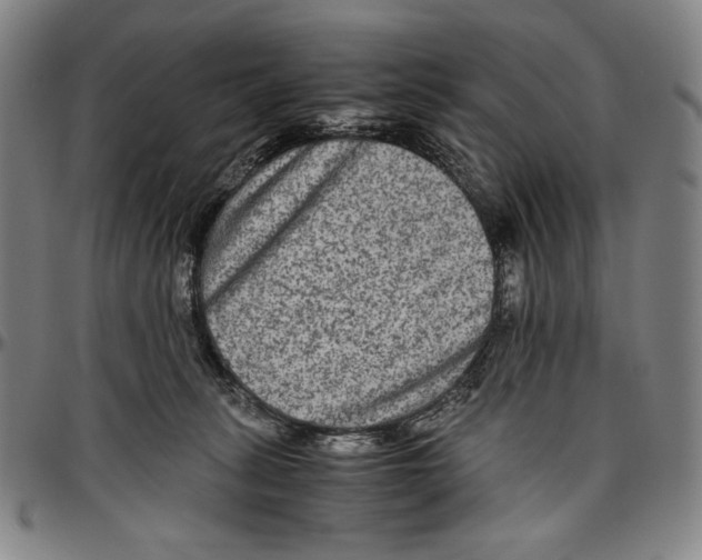 X0000096480275200802211221