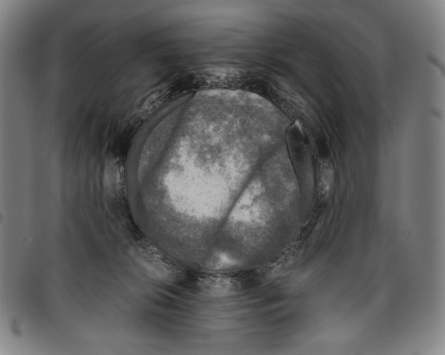 X0000096480276200802211221