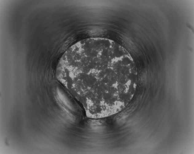 X0000096480277200802211221