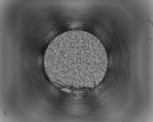 X0000096480278200802211221