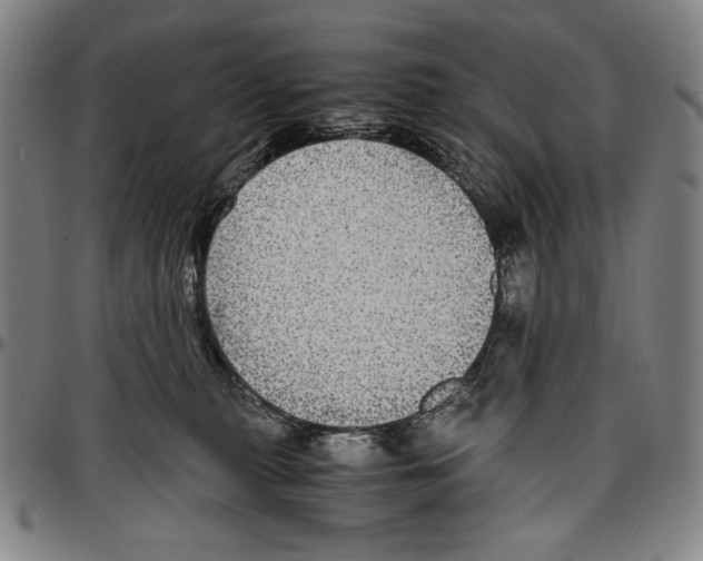 X0000096480279200802211221
