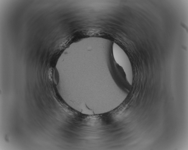 X0000096480280200802211221