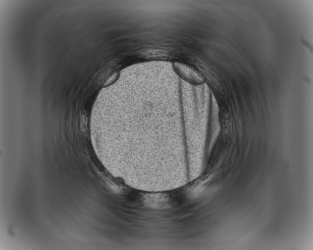X0000096480281200802211221