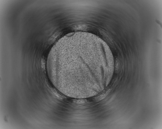 X0000096480282200802211221