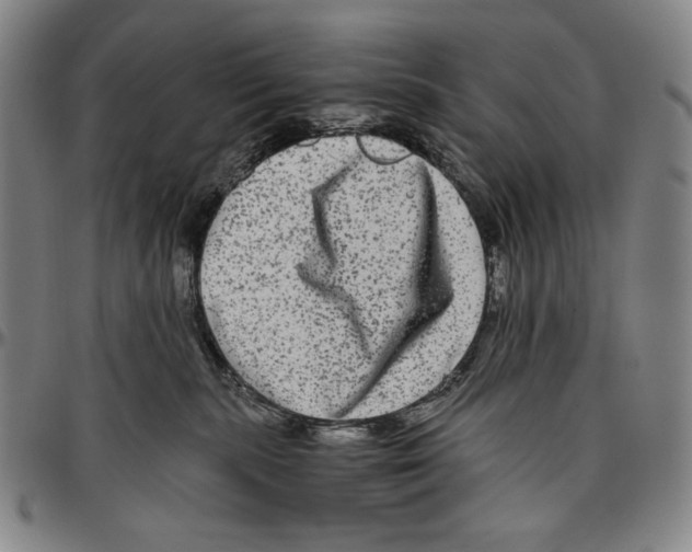X0000096480283200802211221