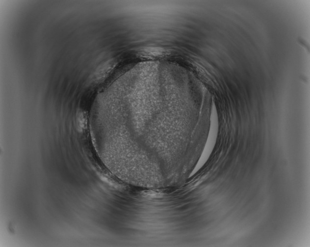 X0000096480284200802211221