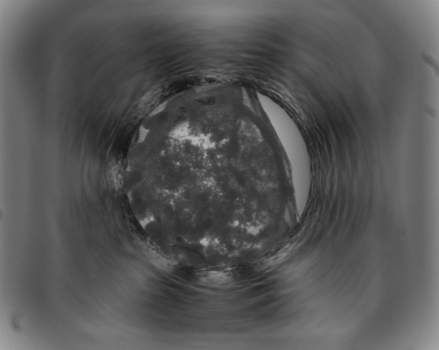 X0000096480285200802211221