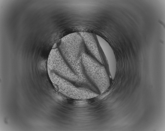 X0000096480286200802211221