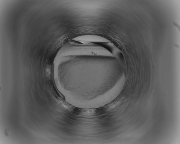 X0000096480288200802211221