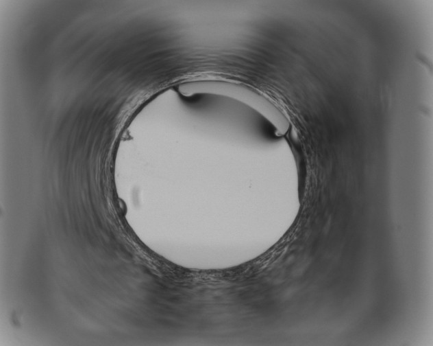 X0000096480289200802211221