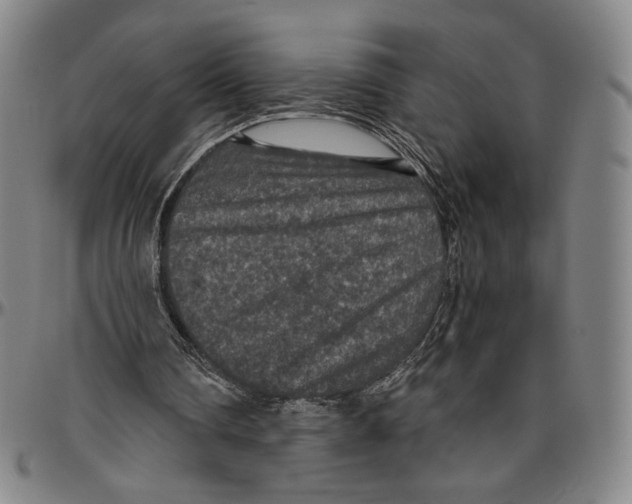 X0000096480290200802211221