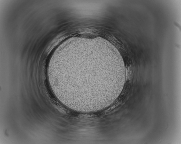 X0000096480291200802211221