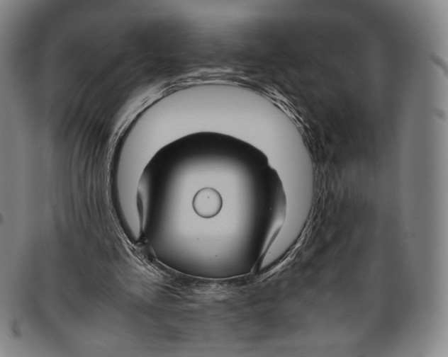 X0000096480293200802211221