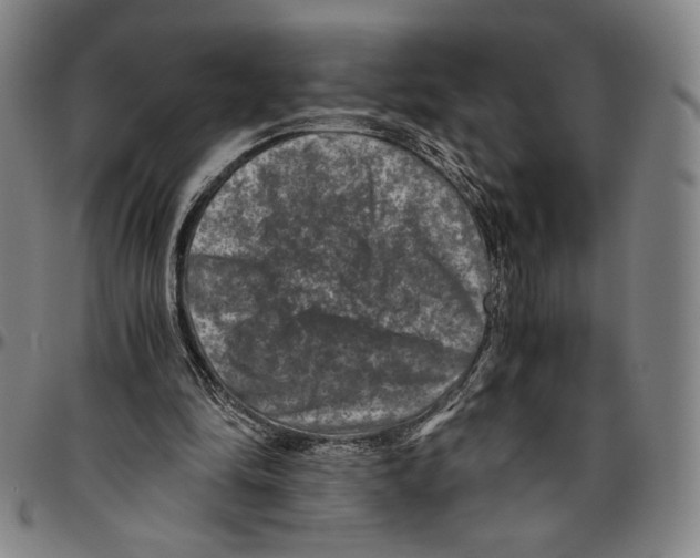 X0000096480294200802211221