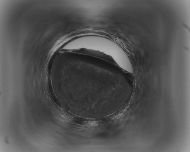 X0000096480295200802211221