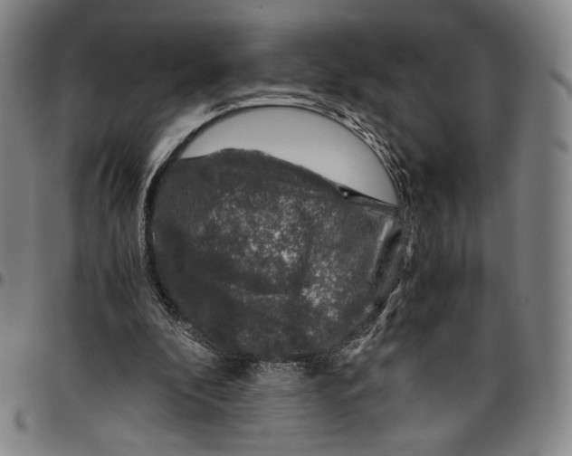 X0000096480296200802211221