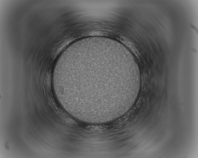 X0000096480297200802211221