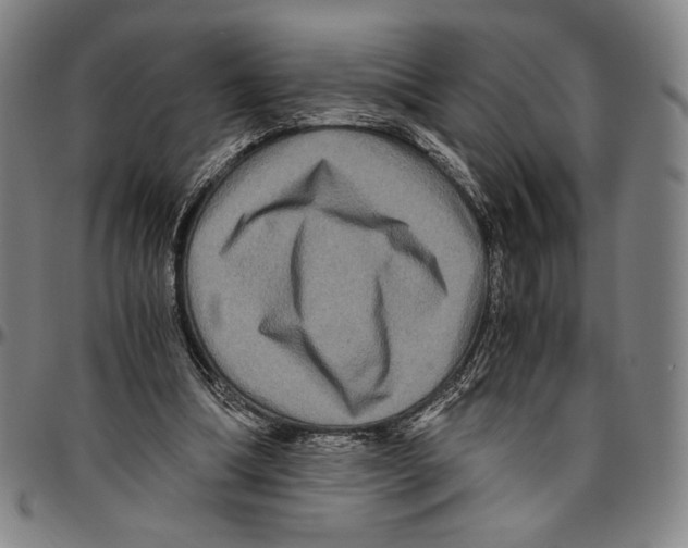 X0000096480298200802211221