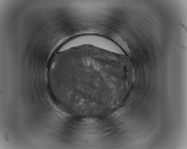 X0000096480300200802211221
