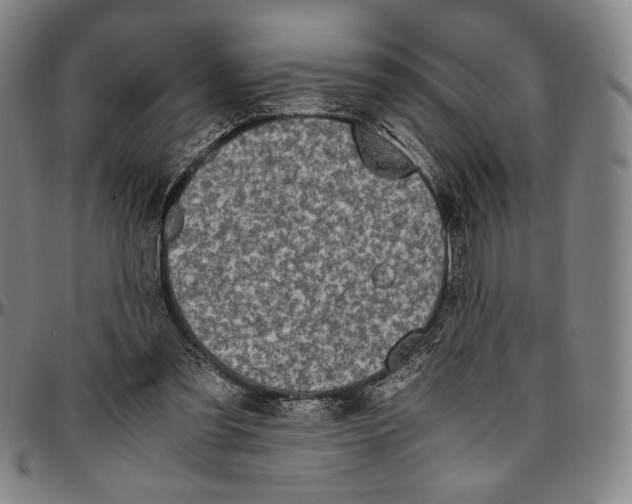 X0000096480301200802211221