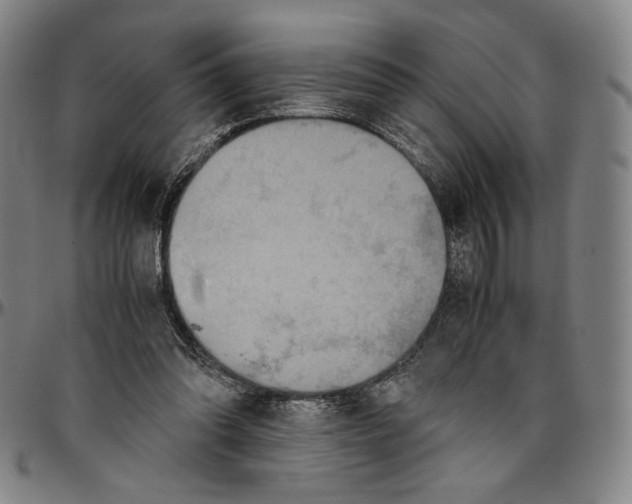 X0000096480302200802211220