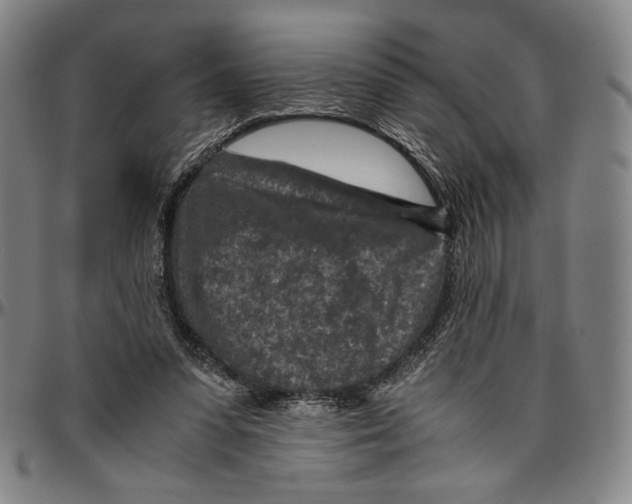 X0000096480303200802211220