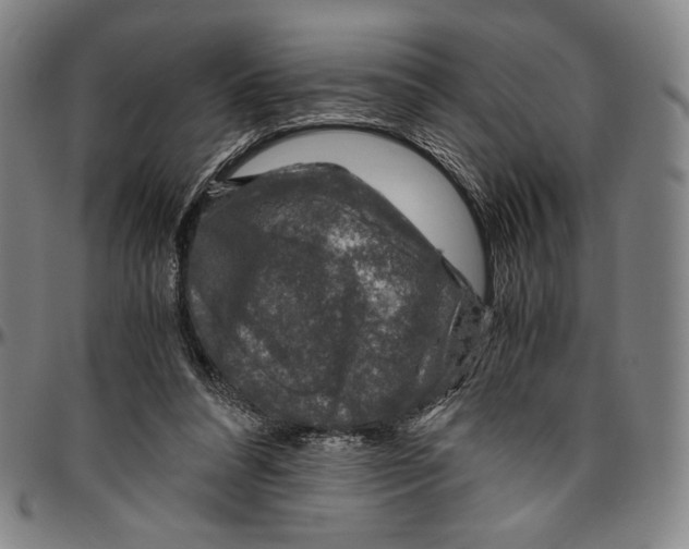 X0000096480304200802211220