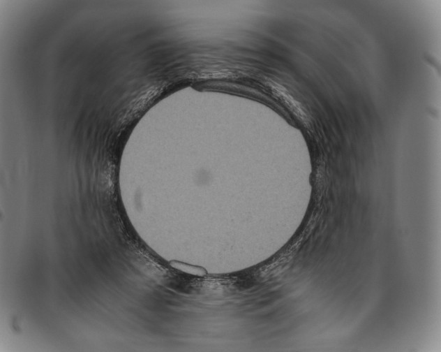 X0000096480305200802211220