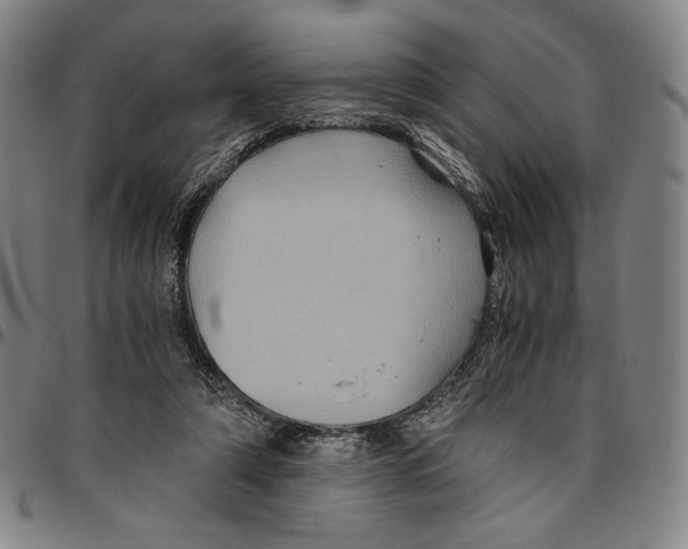 X0000096480306200802211220