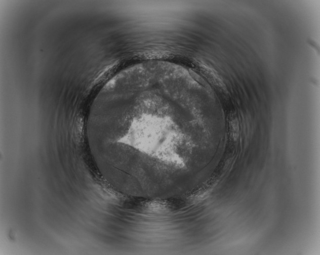X0000096480308200802211220