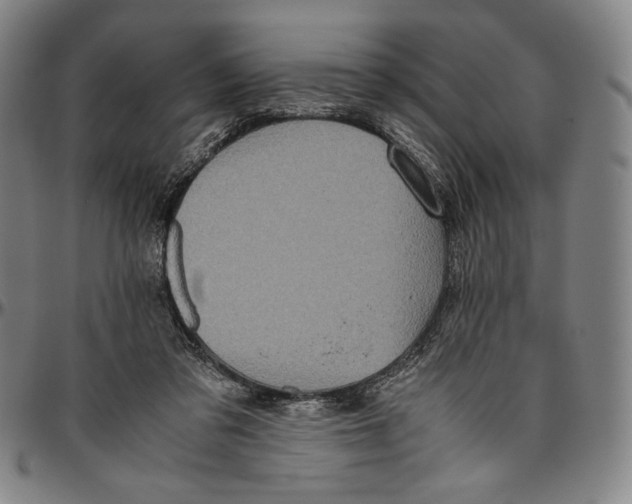 X0000096480309200802211220