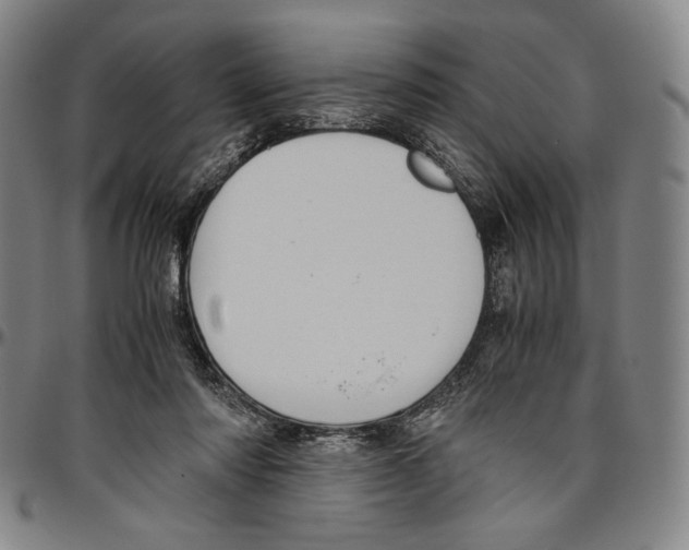 X0000096480310200802211220