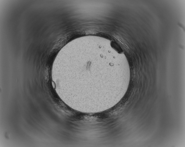 X0000096480311200802211220