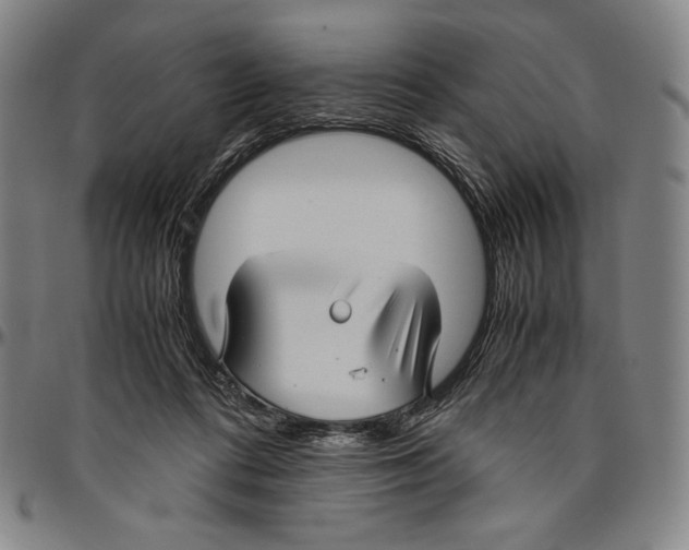 X0000096480312200802211220