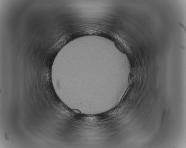 X0000096480313200802211220