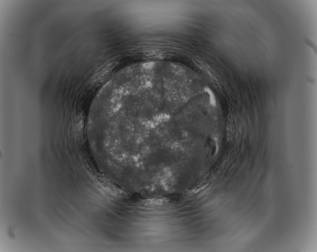 X0000096480314200802211220