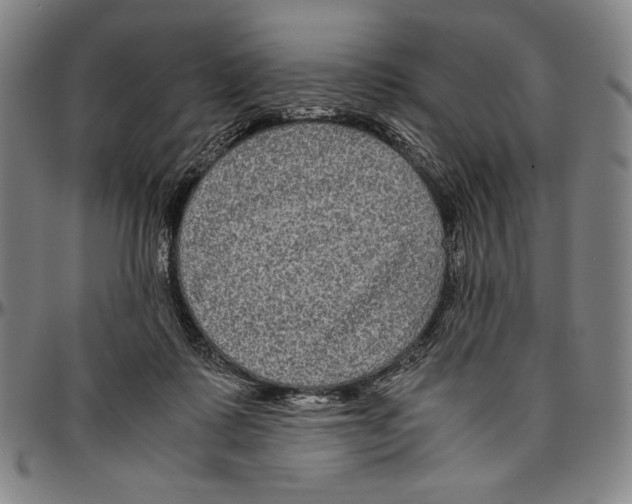 X0000096480315200802211220