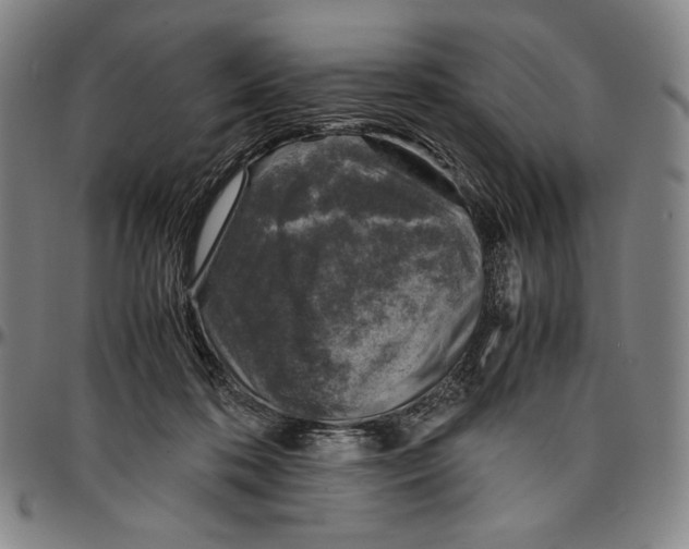 X0000096480316200802211220