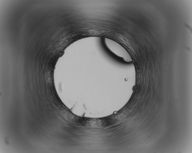 X0000096480317200802211220