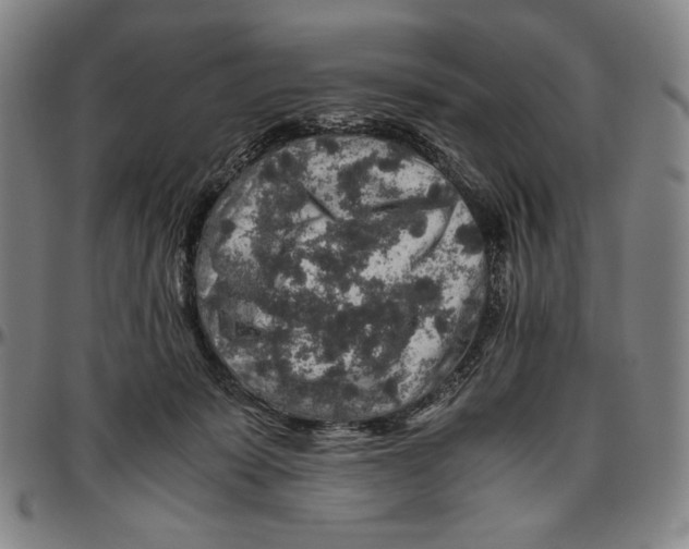 X0000096480319200802211220