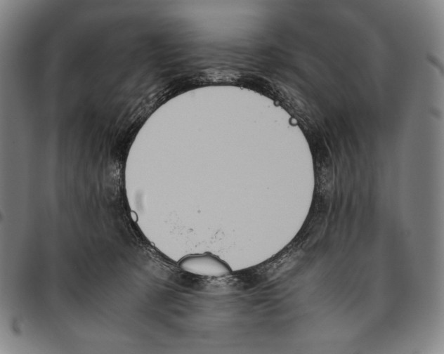 X0000096480321200802211220