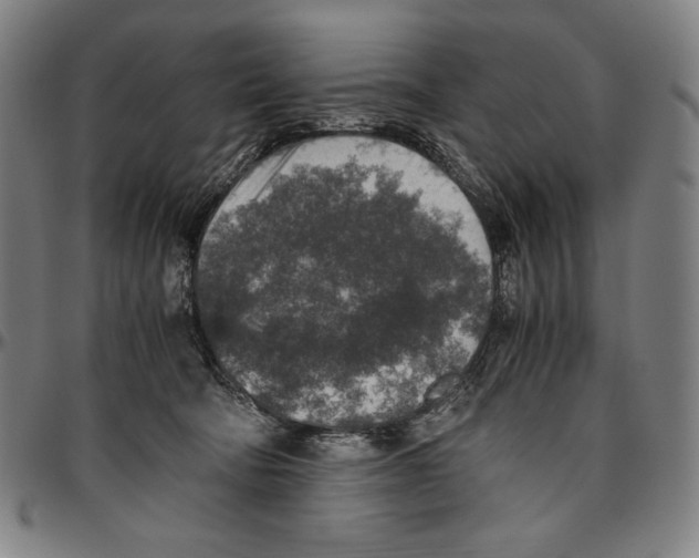 X0000096480322200802211220