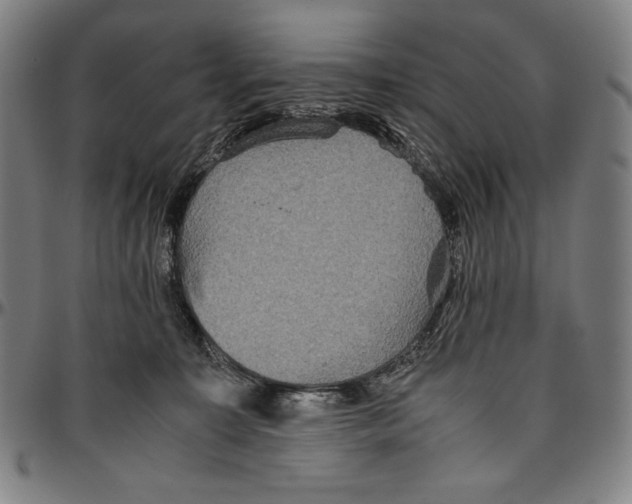 X0000096480323200802211220
